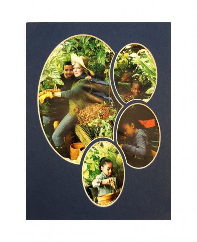 Фигурное паспарту 116