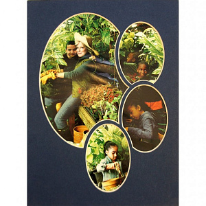 Фигурное паспарту