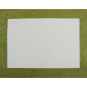 Фигурное паспарту